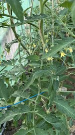 IMG_0322.jpeg