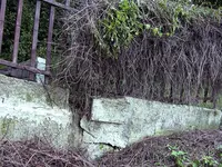 2005TerrMau.jpg