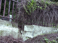 2005TerrMau.jpg
