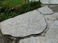 2010Terr1.jpg