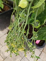 20240620_084620.jpg