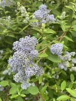 IMG_3907.webp