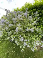 IMG_3908.webp