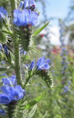 IMG_0124.JPG