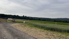 IMG_0324.jpeg