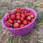 IMG_0323.jpeg