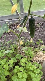IMG_0325.jpeg