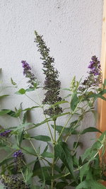 20240620_205531.jpg