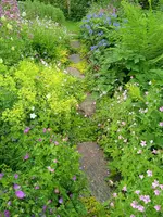 IMG_20240620_072145.jpg