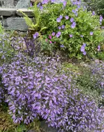 IMG_5827.webp
