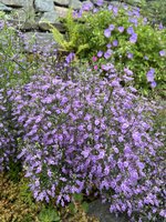 IMG_5825.jpeg