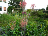 DSC03543.JPG