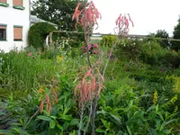 DSC03543.JPG