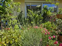 20240622_113000.webp