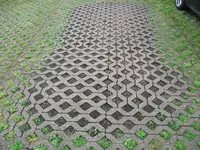 DSCF6774.webp