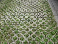 DSCF6772.webp