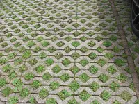 DSCF6773.webp