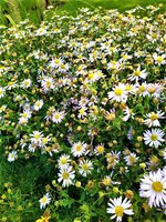 IMG_20210910_155524.jpg