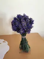 IMG_20240621_075703 (1).webp