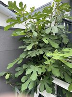 IMG_6093.jpeg