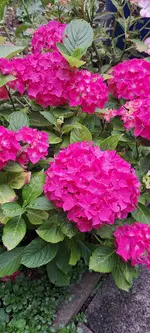 20240623_174731.webp