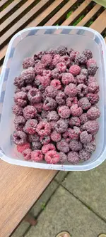 20240623_142656.webp
