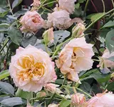 20240623_134153.webp