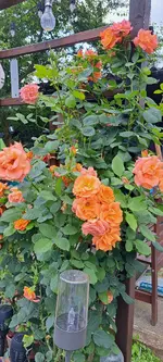 20240623_133711.webp