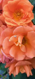20240623_133707.webp