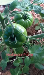 20240623_191057.webp
