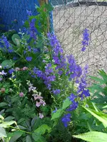 IMG_20240622_132607.webp