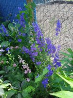 IMG_20240622_132607.jpg