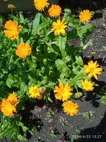 IMG_20240622_132720.webp
