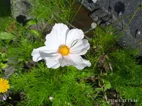IMG_20240622_133321.webp