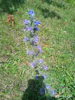 IMG_20240622_133342.webp