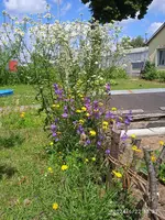 IMG_20240622_133348.webp