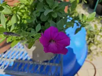20240624_104315.webp