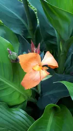 20240623_143114.webp