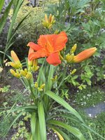 IMG_5855.jpeg