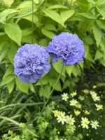 IMG_5859.webp