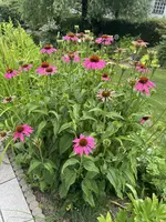 IMG_5863.webp