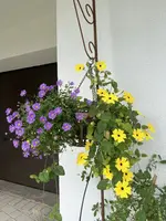 IMG_5867.webp