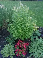 IMG_20240624_180720.webp