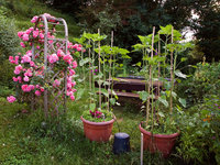 2006Garten.jpg