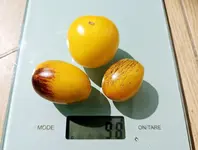 20240625_162200.jpg