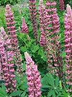 IMG_20240518_123656.webp