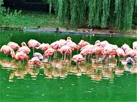 IMG_20210816_133414_3.webp