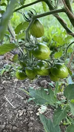 IMG_0401.jpeg