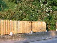 2007Zaun.jpg
