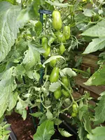 20240626_104334.jpg